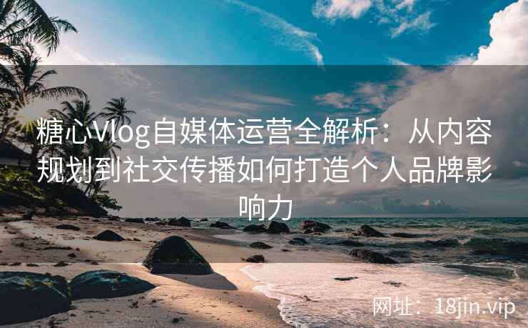糖心Vlog自媒体运营全解析：从内容规划到社交传播如何打造个人品牌影响力