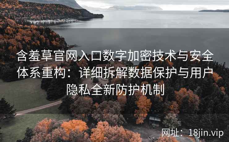 含羞草官网入口数字加密技术与安全体系重构：详细拆解数据保护与用户隐私全新防护机制