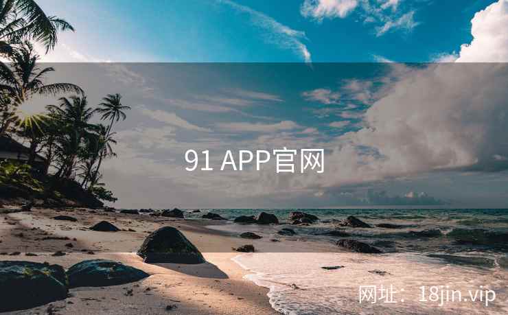 91 APP官网