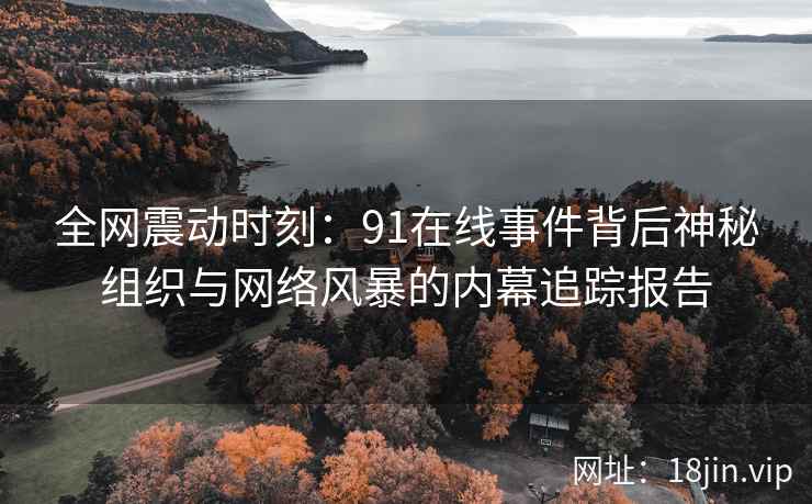 全网震动时刻：91在线事件背后神秘组织与网络风暴的内幕追踪报告