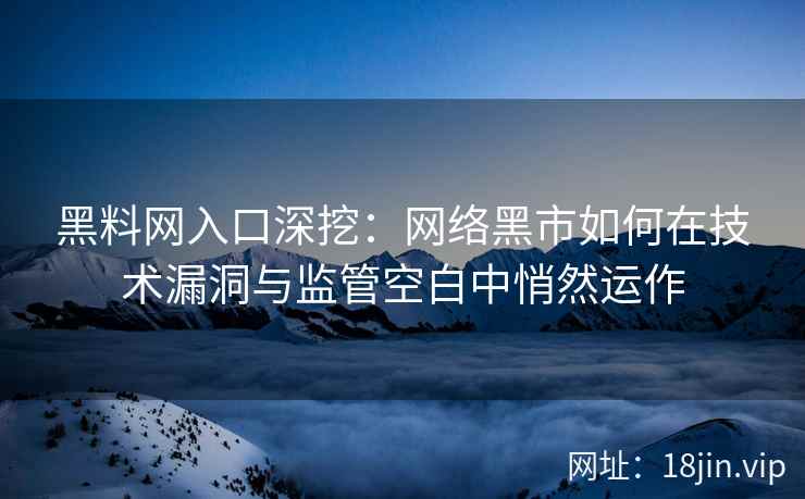 黑料网入口深挖：网络黑市如何在技术漏洞与监管空白中悄然运作