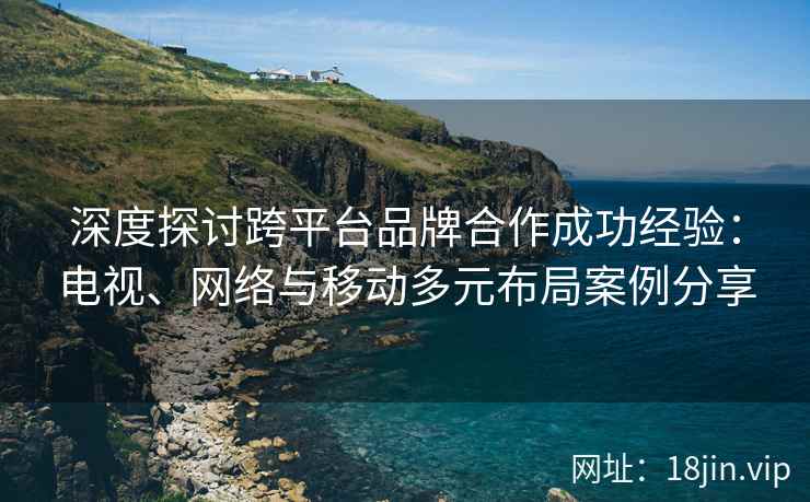 深度探讨跨平台品牌合作成功经验：电视、网络与移动多元布局案例分享