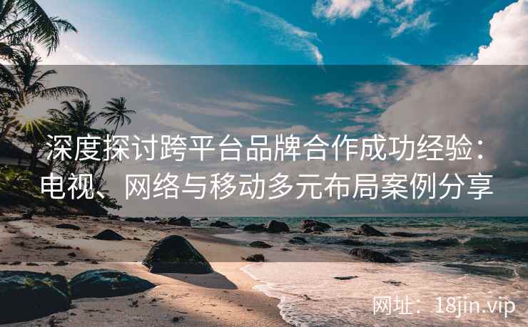 深度探讨跨平台品牌合作成功经验：电视、网络与移动多元布局案例分享