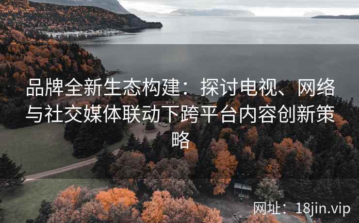 品牌全新生态构建：探讨电视、网络与社交媒体联动下跨平台内容创新策略