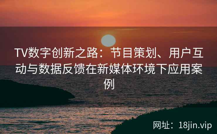 TV数字创新之路：节目策划、用户互动与数据反馈在新媒体环境下应用案例