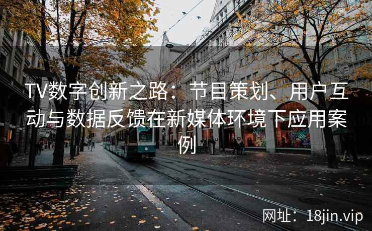 TV数字创新之路：节目策划、用户互动与数据反馈在新媒体环境下应用案例