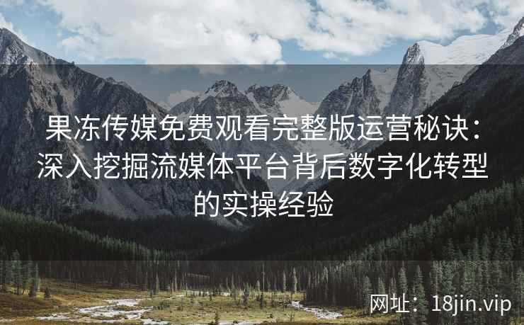 果冻传媒免费观看完整版运营秘诀：深入挖掘流媒体平台背后数字化转型的实操经验